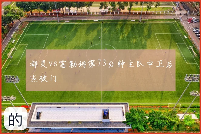 都灵vs富勒姆第73分钟主队中卫后点破门